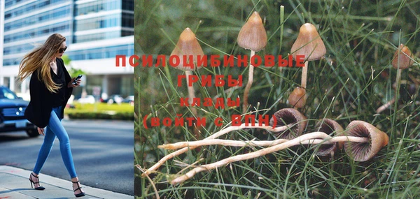 прущий лед Няндома