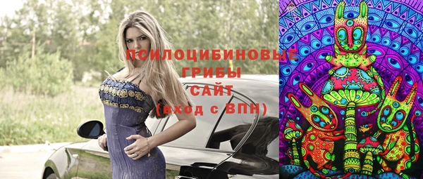 стафф Аркадак